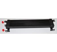 RANGE ROVER P38 VIN YA445076 GRUPPO RADIATORE OLIO DIESEL PBC000020