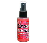 Ranger Abandoned Coral Distress Oxide Spray, Medium