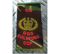 Rank Slide DPM Woodland Camo SSI RGS Guildford CCF British Army Assorted Ranks