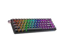 Ranked Master M65 HE 65% | Rapid Trigger Technology | Magnetic Mechanical Gaming Keyboard | 68 Keys RGB LED for PC/Mac Gamer | US Layout (Black, Clear Switch)
