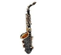 Rankomu Kit per sassofono contralto e piatto, tubo di piegatura in ottone con elettroforesi finitura oro, include accorie per studenti e principianti