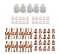 RANRAO 65pcs PT-31 Plasma Cutter Elettrodo Punte Set per Parkside Taglio Torcia Parti