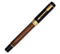 Ranvi Penna stilografica Jinhao 100, pennino fine, finiture dorate, morsetto a spada, legno