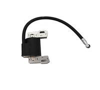 Raogoodcx sostituisce l'armatura Magnetica della Bobina di accensione Elettronica Briggs & Stratton per 715231 799650 795315 690248