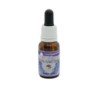 Rapa/nui Olio Essenziale 15ml
