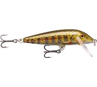 Rapala - Esca da Pesca Artificiale Spinning CountDown - Esca di Simulazione per Pesca in Acqua Dolce in Legno di Balsa - Profondità Nuoto 0.6-0.9m - 3cm/4g - Prodotta in Estonia - Gold Juvenile Trout