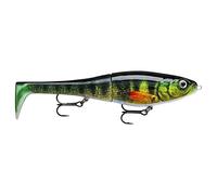 Rapala - Esca da Pesca Artificiale Spinning X-Rap Peto - Esca di Simulazione Corpo ABS Coda Morbida PVC per Acqua Dolce - Profondità di Nuoto 0.5-1m - 14cm/39g - Prodotta in Estonia - Live Perch