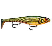 Rapala - Esca da Pesca Artificiale Spinning X-Rap Peto - Esca di Simulazione Corpo ABS Coda Morbida PVC per Acqua Dolce - Profondità di Nuoto 0.5-1m - 14cm/39g - Prodotta in Estonia - Scaled Roach