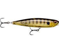Rapala Esca da pesca Precision Xtreme Pencil, dimensioni: 10,7 cm/21 g, esca galleggiante per mare, profondità di nuoto: superficie, attrezzo da pesca in plastica, protezione UV Glassy Gill ggIU