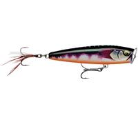 Rapala, Esca da pesca Skitter Pop Elite, dimensioni: 7,5 cm/10 g, esca galleggiante per acqua dolce e salata, profondità di nuoto: superficie, attrezzo da pesca in balsa, Toman dorato gDTMN