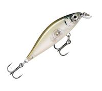 Rapala, Esca da pesca X-Light Minnow, dimensioni: 5 cm/4 g, esca affondante per acqua dolce, profondità di nuoto: 0,6-0,9 m, attrezzo da pesca in plastica, ghost Shinner gHSH