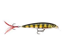 Rapala Esca da pesca X-Rap, dimensioni: 10 cm/13 g, esca galleggiante per acqua dolce e salata, profondità di nuoto 0,9-1,5 m, attrezzo da pesca in plastica, persico vivo PEL