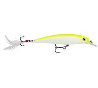 Rapala, Esca da pesca X-Rap, dimensioni: 8 cm/7 g, esca galleggiante per acqua dolce e salata, profondità di nuoto: 0,9-1,5 m, materiale con struttura in plastica, Colore Fluorescente