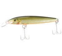 Rapala Fmag11-Rfsh Currican Floating Magnum