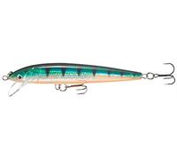 Rapala HJ10 GP, Esche Artificiali da Pesca Unisex-Adult, Multicolore, Taglia Unica