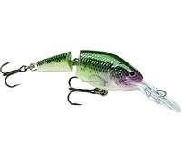 Rapala JSR07BB Jointed Shad Rap Crankbait, 7cm, 14.8ml, Bambino Spigola, Sospeso