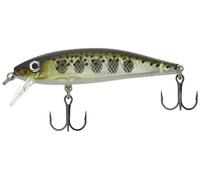 Rapala RA5813603, Adescare Unisex-Adult, Pasticcione, 5cm