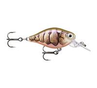 Rapala - X -light manovella a ginnastica mid runner pellicola in plastica esca - esca senza diluvio d'acqua - stato di spettacolo 1,8 m - taglia 3,5 cm / 4g - fatto in Estonia - Purple Grawn UV