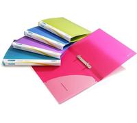 Rapesco 0799 Raccoglitore ad Anelli, 2 Anelli, Dorso da 25 mm, A4, Colori Vivaci Trasparenti Assortiti, Confezione da 10