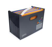 Rapesco 1489 Germ-Savvy Antibacterial, SupaFile A4 13-Part Landscape Desktop Exp