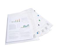 Rapesco 1803 Buste con Chiusura a Zip in Plastica, A4+, Trasparente, Confezione da 5