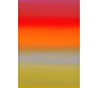 Raphael Hefti: Salutary Failures. Ediz. inglese e tedesca - 2020
