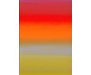 Raphael Hefti: Salutary Failures - [Lenz Press]