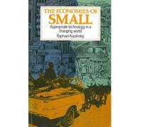 Raphael Kaplinsky The Economies of Small (Tascabile)