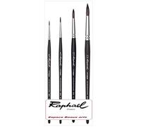 Raphael Pennello Softaqua Serie 845 Vegani n. 2 4 10 14 Set 4 pezzi