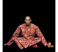 Raphael Saadiq - Instant Vintage