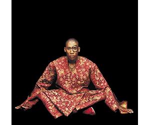 Raphael Saadiq - Instant Vintage