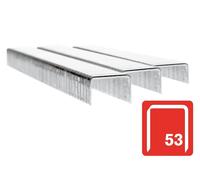Rapid 53/6B 6Mm Chiodi Galvanizzati (Scatola 2500) RPD536B2500