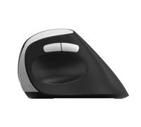 Rapoo EV250 Mano destra Ottico RF Wireless 1600 DPI Nero Argento Mouse 215045