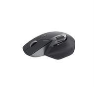 RAPOO MT760L SW - Mouse, Bluetooth/radio, ergonomico, nero