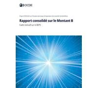 Rapport consolidé sur le Montant B