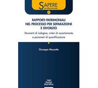 Rapporti patrimoniali nel processo per separazione e divorzio. Strumenti di indagine, criteri di accertamento e parametri di quantificazione