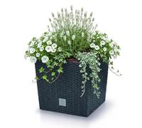 Vaso da fiori + inserto fioriera effetto rattan RATO LOW DRTS265L antracite