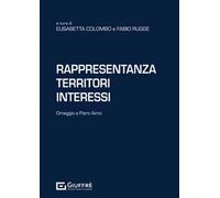 Rappresentanza territori interessi. Omaggio a Piero Aimo