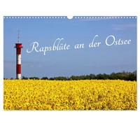 Rapsblüte an der Ostsee (Wandkalender 2026 DIN A3 quer), CALVENDO Monatskalender: Jahreszeit im April - Mai mit Rapsblüte an der Ostsee