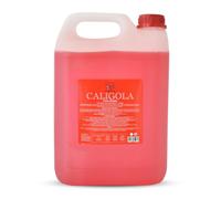 RAPTUS Caligola Ricarica 5 Litri - Essenza al Vino Rosso per Profumatori | Formato Professionale con Bastoncini Inclusi - Profumatore Casa e Ufficio