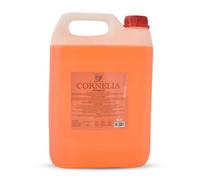 RAPTUS Cornelia Ricarica Ambiente 5 Litri con Bastoncini Inclusi - Essenza Melograno Intenso, Lunga Durata - Per Diffusori a Bastoncini e Grandi Ambienti