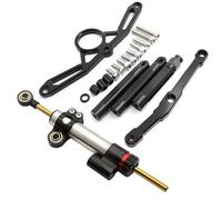 RAQXOLPB Compatibile con per MT09 per FZ09 2021 2022-2023 Kit di Supporto per Staffa Stabilizzatrice in Alluminio CNC per Ammortizzatore di Sterzo per Moto Raddrizzatore(Silver B Set)