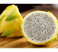 Rare grandi semi Yellow Dragon Frutta Pitaya organici, Professional Service Pack, 30 semi / Pack, dolce Selenicereus Megalanthus E3267