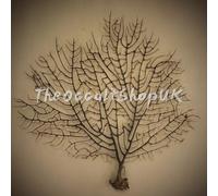 Rare Nero Indrajal Talismano Mystic Riti Altare Wiccan Pagano Spells Strega Hex