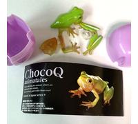 Raro ChocoQ Animatales Hallowell’s Tree Frog Kaiyodo Japan Series 9 Takara Tomy
