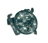 RAS Fendinebbia Destro per Hyundai Accent Dal 01-2002 Al 08-2006