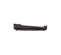 Ras Ricambi Auto Store Modanatura Del Longherone Porta Destra compatibilIe con Mercedes Smart Fortwo Dal 03-2007 Al 12-2012 - Alta Qualità