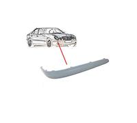 Ras Ricambi Auto Store Modanatura Destra Primer Paraurti Anteriore compatibilIe con Mercedes E Classe Dal 07-2002 Al 04-2006 - alta qualità
