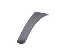 Ras Ricambi Auto Store Terminale Sinistro Paraurti Anteriore Compatibile con Toyota Rav4 Dal 08-2003 Al 12-2005 - Alta Qualità