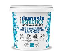 RASABEN Risanante Osmotico Stucco in Polvere per Risanamento di Murature Umide e